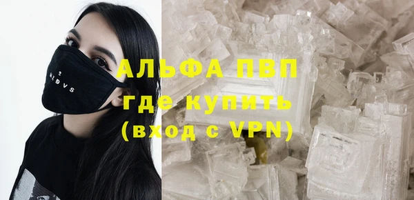 индика Липки