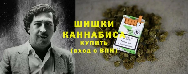 индика Липки